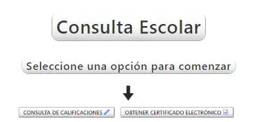 Certificado de secundaria o primaria Jalisco